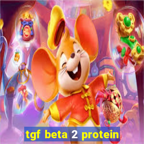 tgf beta 2 protein